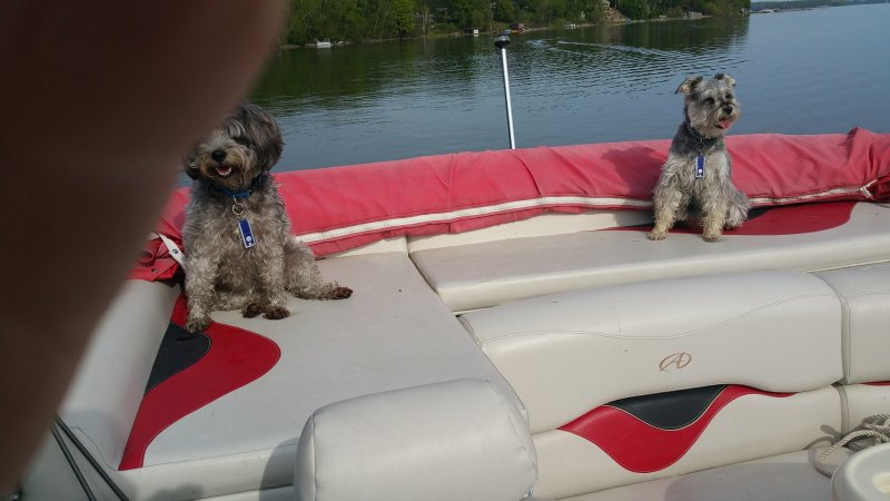 2015-05-24 09.07.25.jpg