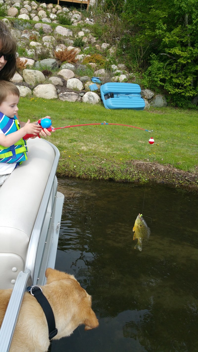 2015-05-24 09.50.16.jpg