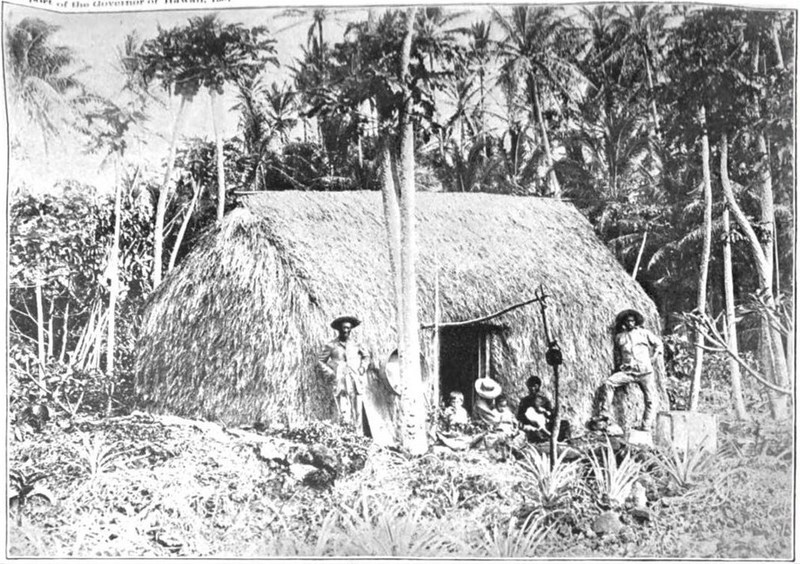 Native_Hawaiian_grass_huts_in_the_woods,_c._1901.jpg