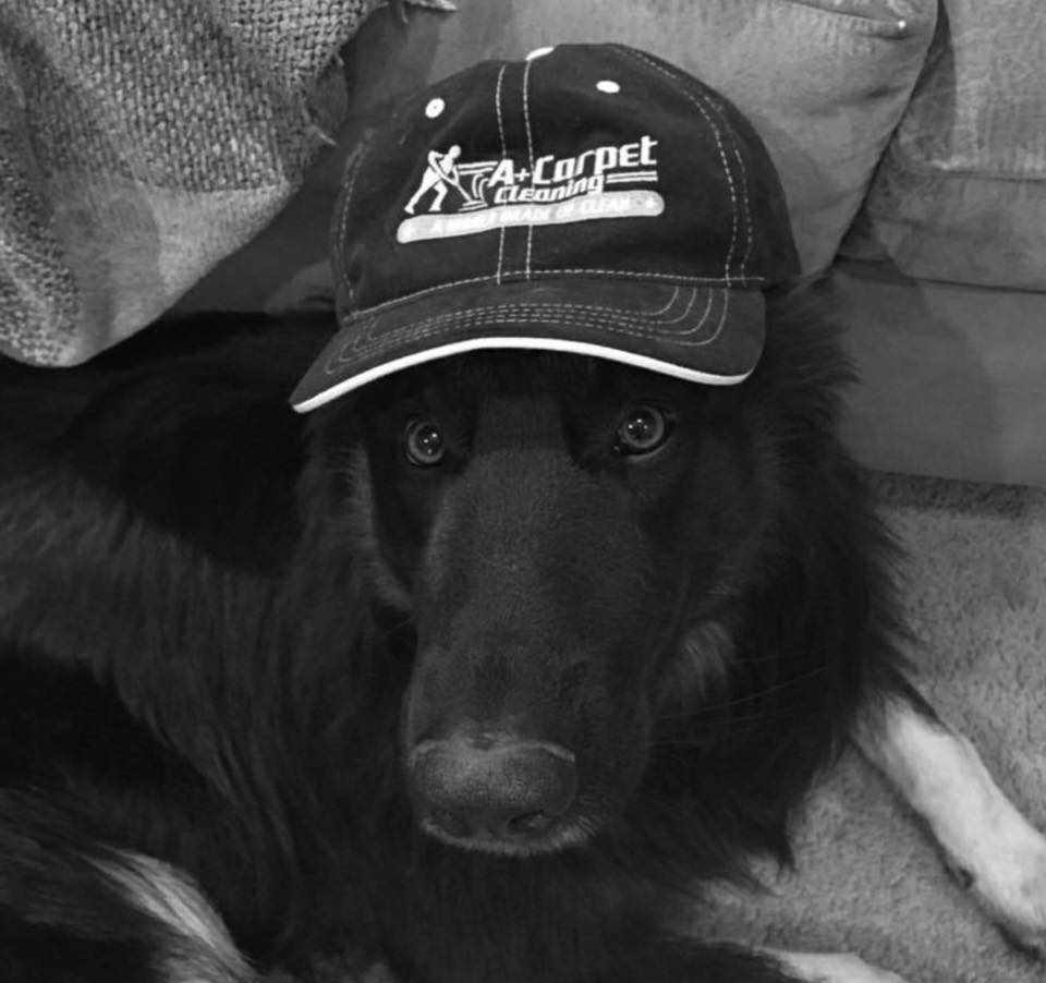 rufo hat.jpg
