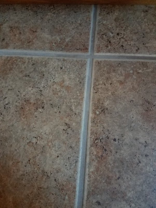 20171006_121535.jpg